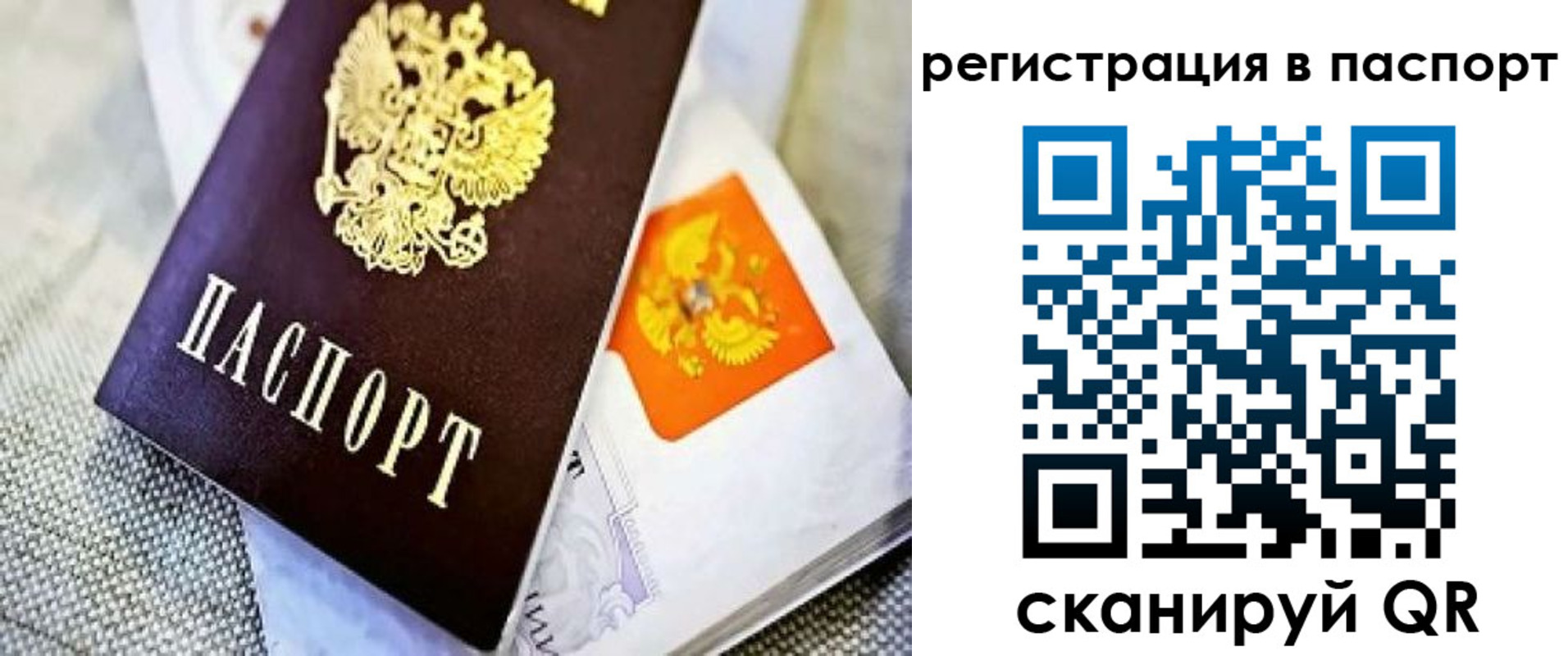 временная регистрация в Камчатской области